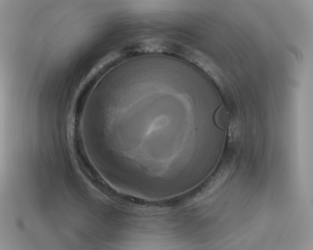 X0000114520722200910191154