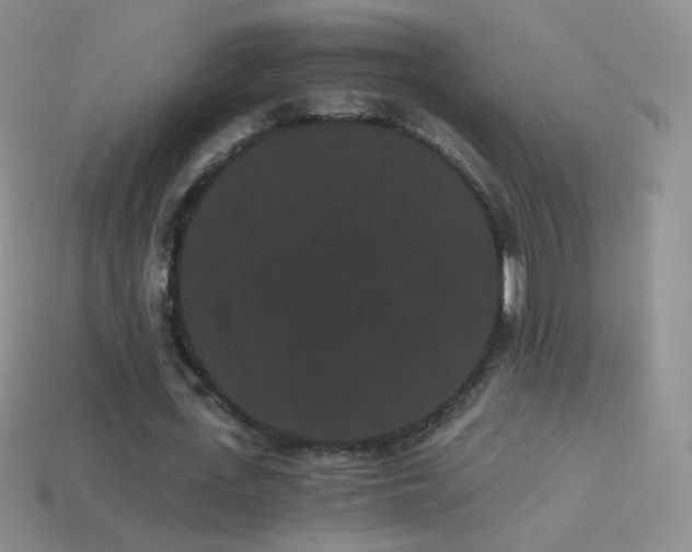 X0000114520723200910191154