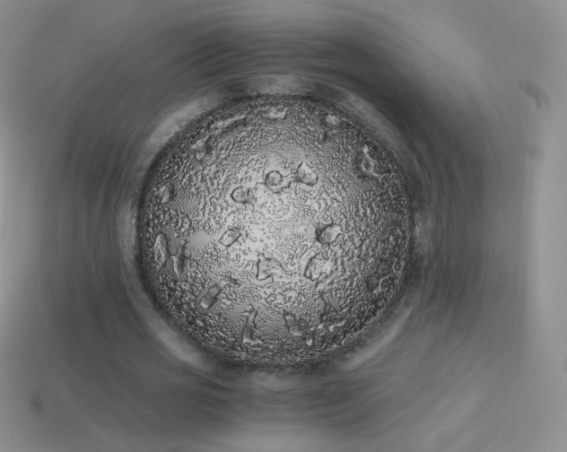 X0000114520725200910191154