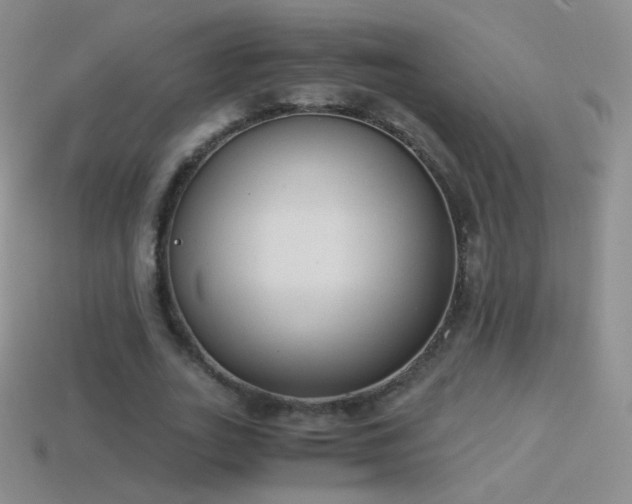 X0000114520727200910191154