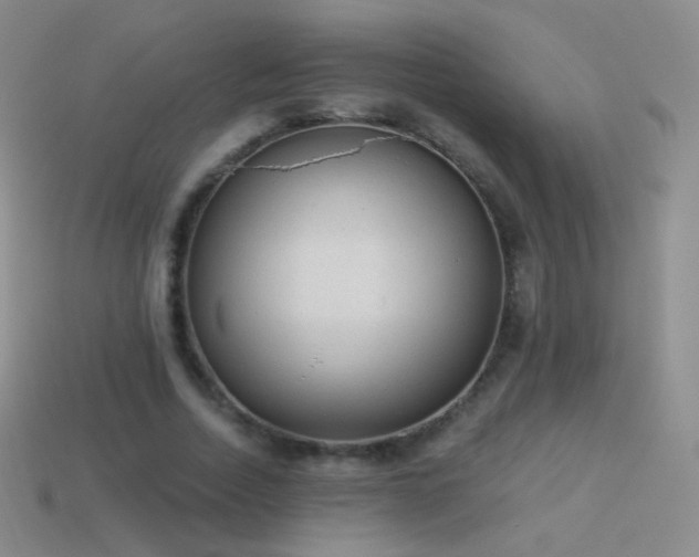 X0000114520730200910191154