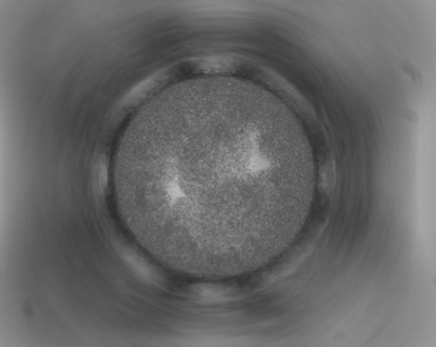 X0000114520733200910191154