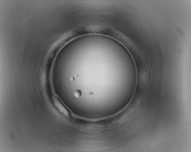 X0000114520734200910191154