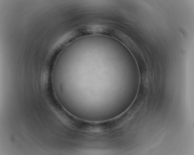 X0000114520735200910191154