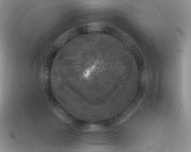 X0000114520737200910191154