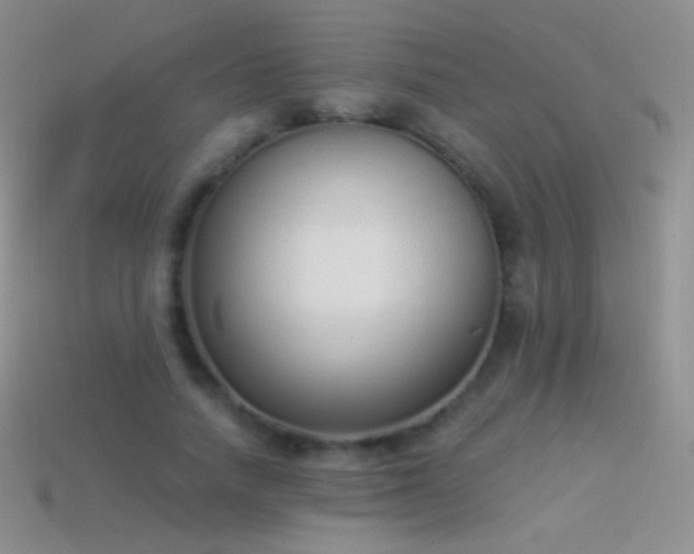 X0000114520738200910191154