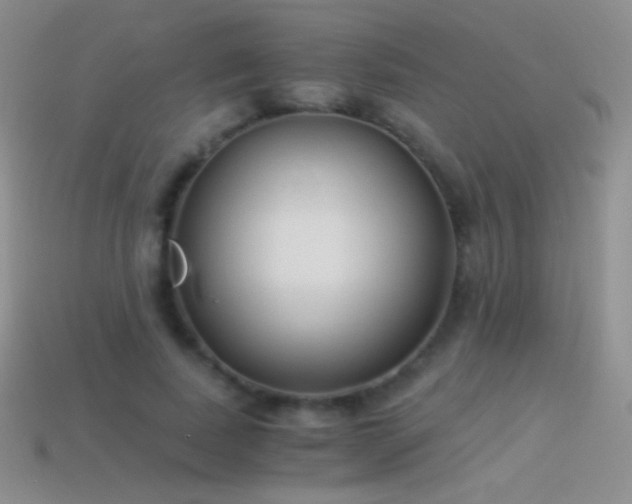 X0000114520739200910191154