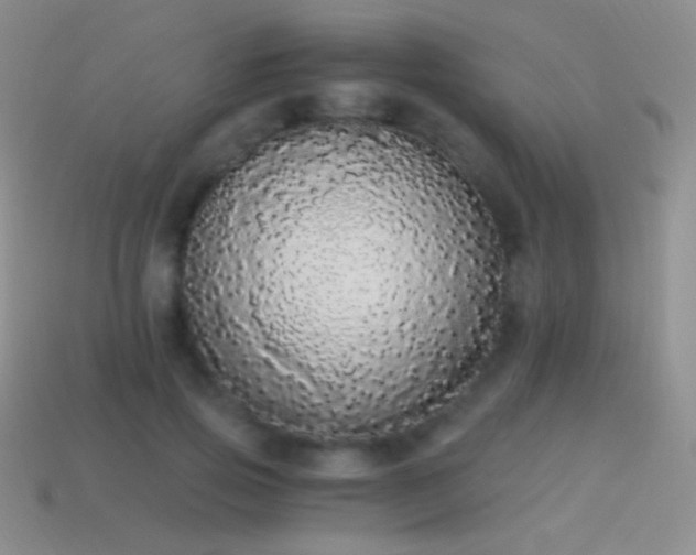 X0000114520741200910191154