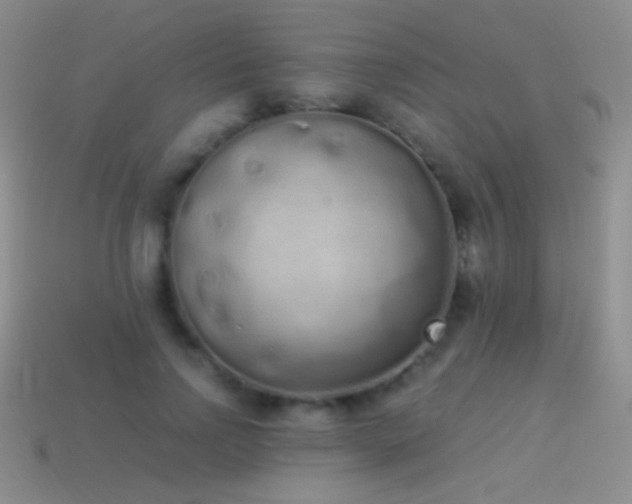 X0000114520742200910191154