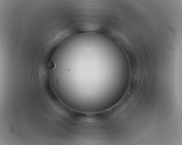 X0000114520743200910191154