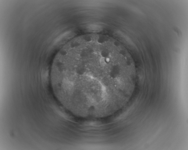 X0000114520745200910191154