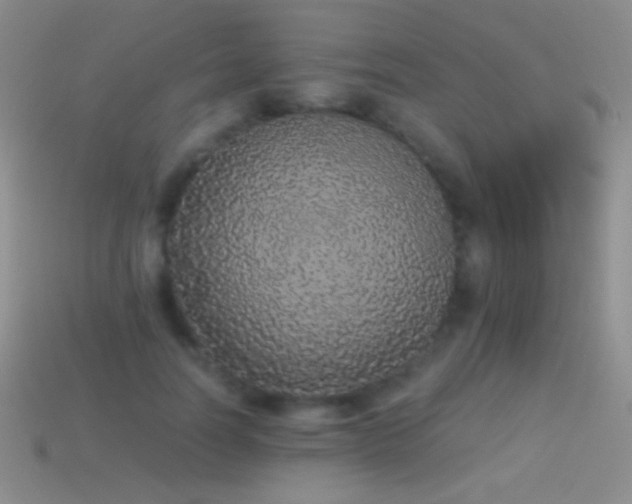 X0000114520746200910191154