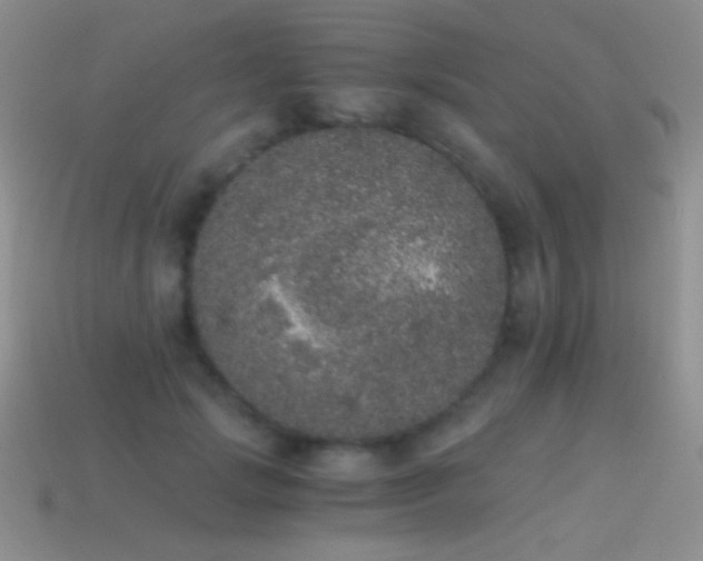 X0000114520749200910191154