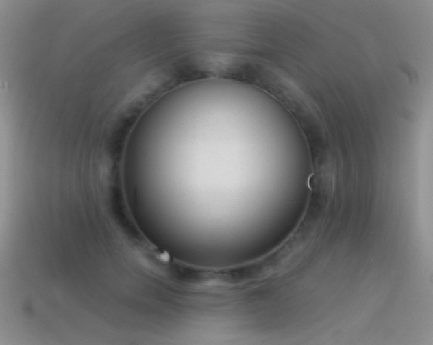 X0000114520750200910191154