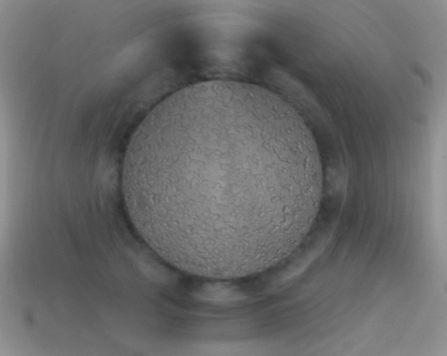 X0000114520753200910191154