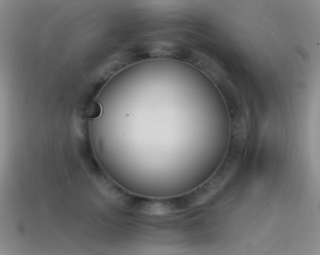 X0000114520755200910191154