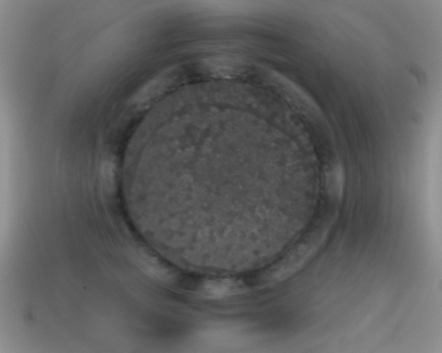 X0000114520757200910191154