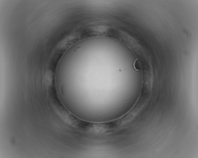 X0000114520758200910191154