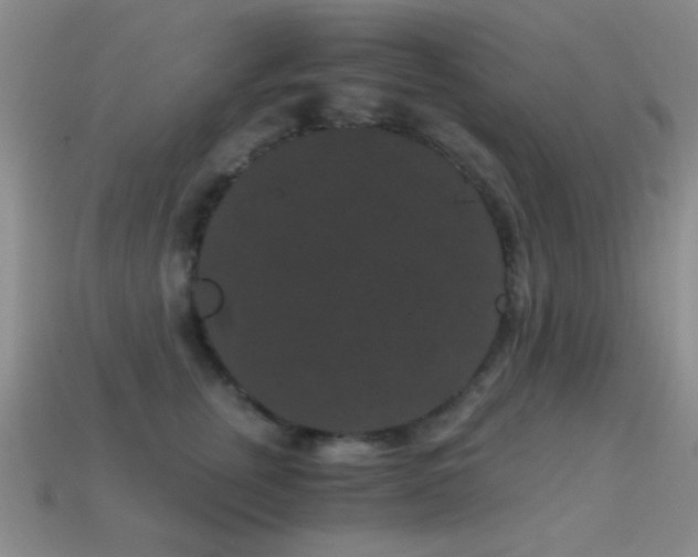 X0000114520759200910191154