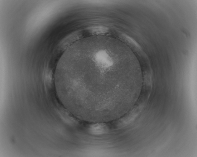 X0000114520761200910191154