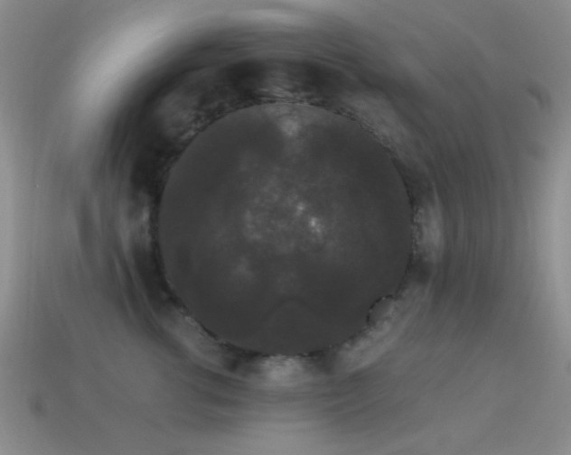 X0000114520762200910191154