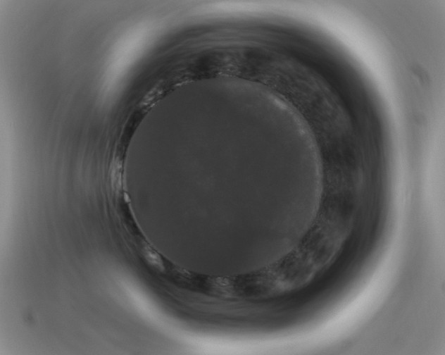 X0000114520766200910191154