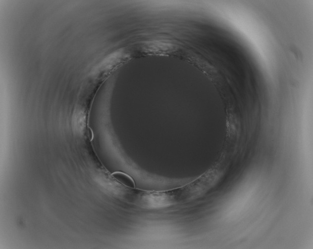 X0000114520767200910191154