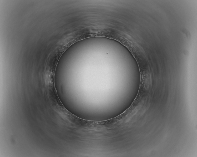 X0000114520770200910191154