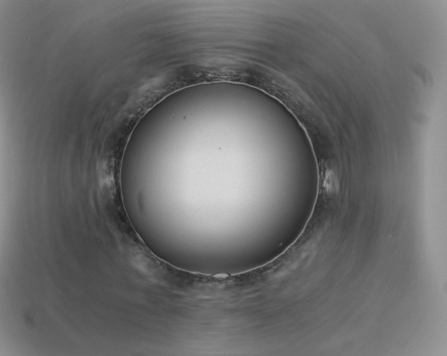 X0000114520771200910191154