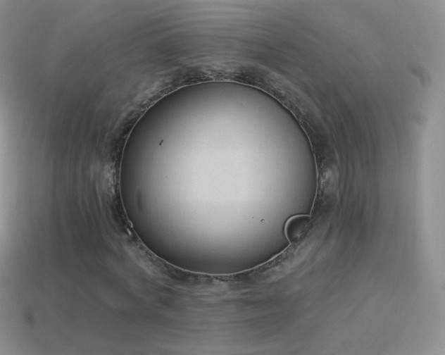 X0000114520772200910191154