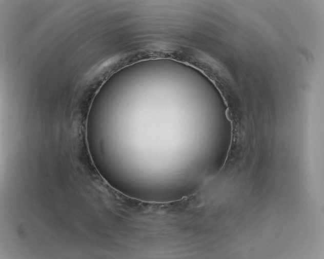 X0000114520773200910191154