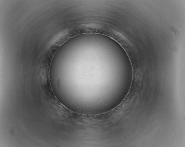 X0000114520774200910191154