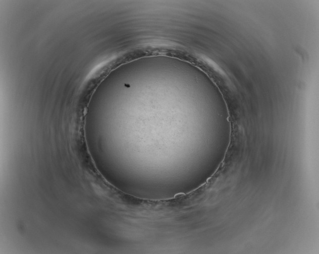 X0000114520775200910191154