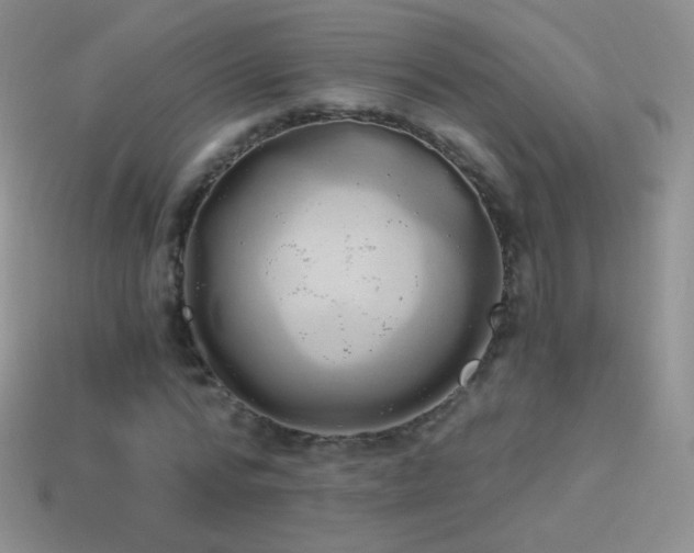 X0000114520776200910191154