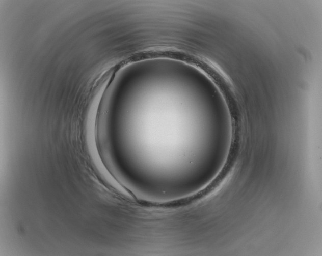 X0000114520777200910191154