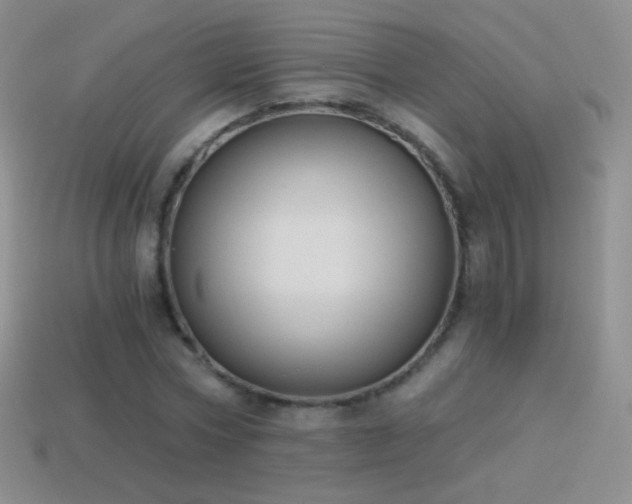 X0000114520778200910191154