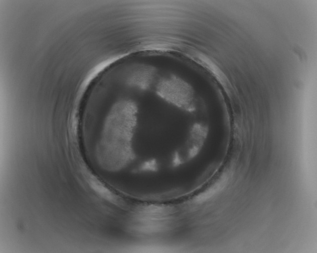 X0000114520779200910191154