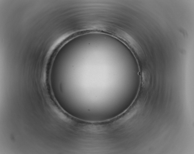 X0000114520780200910191154