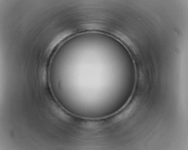 X0000114520782200910191154