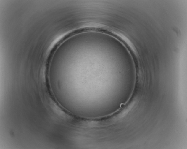 X0000114520783200910191154