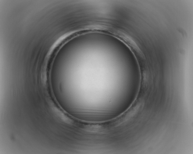 X0000114520784200910191154