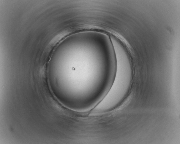 X0000114520785200910191154