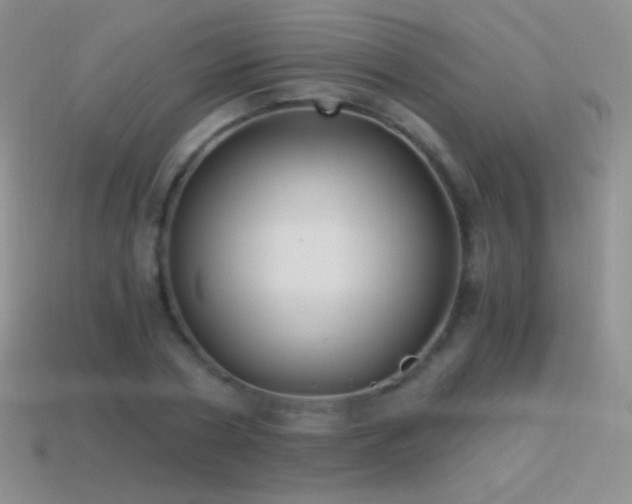 X0000114520786200910191154