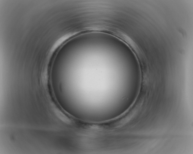 X0000114520787200910191154