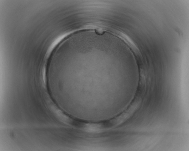 X0000114520788200910191154