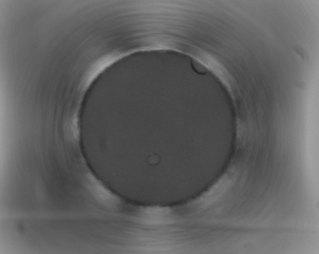 X0000114520789200910191154