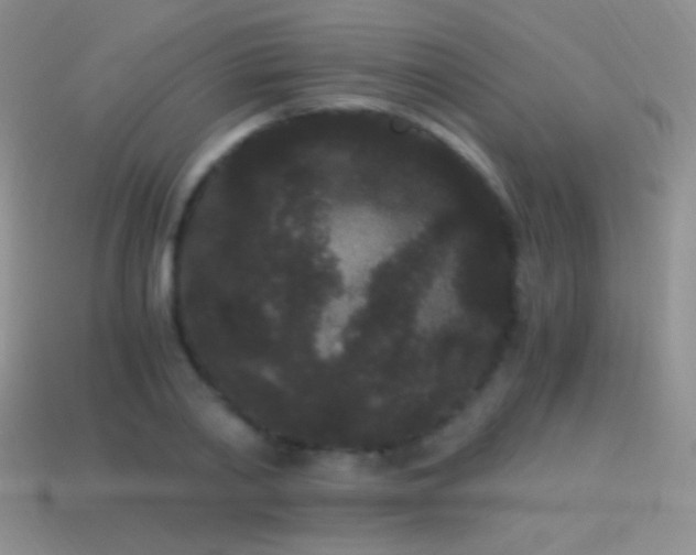 X0000114520790200910191154