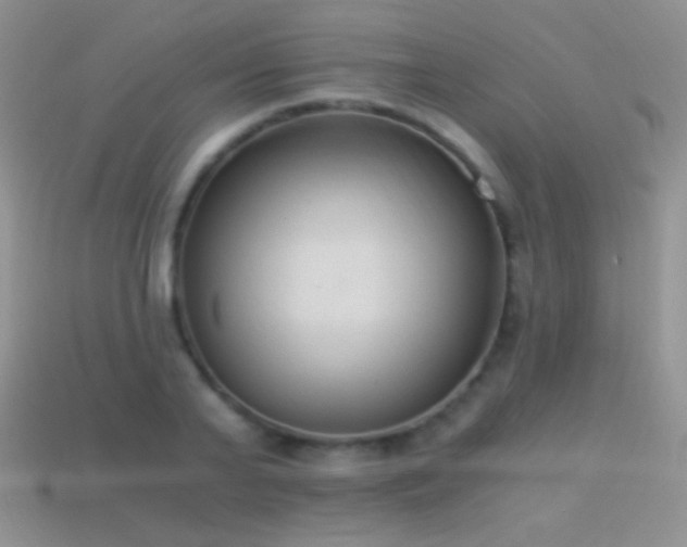 X0000114520791200910191154