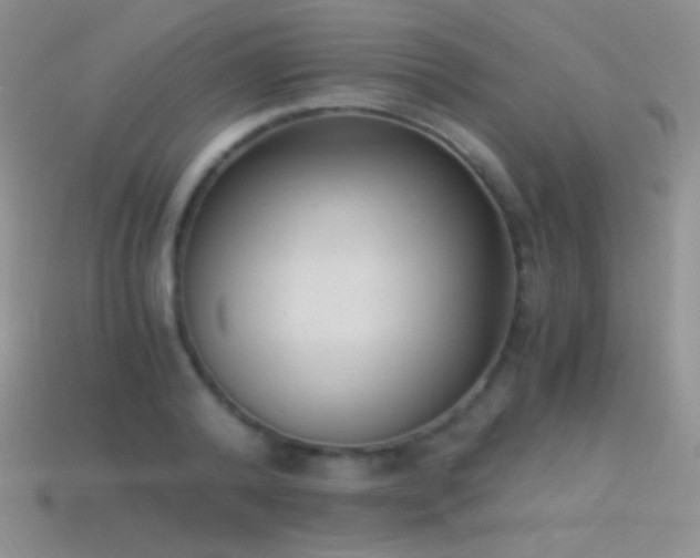 X0000114520792200910191154