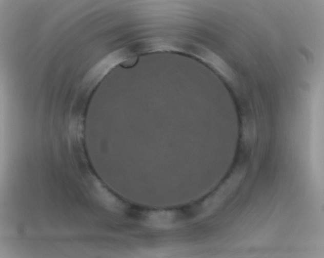 X0000114520793200910191154